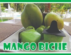 9. MANGO BICHE
